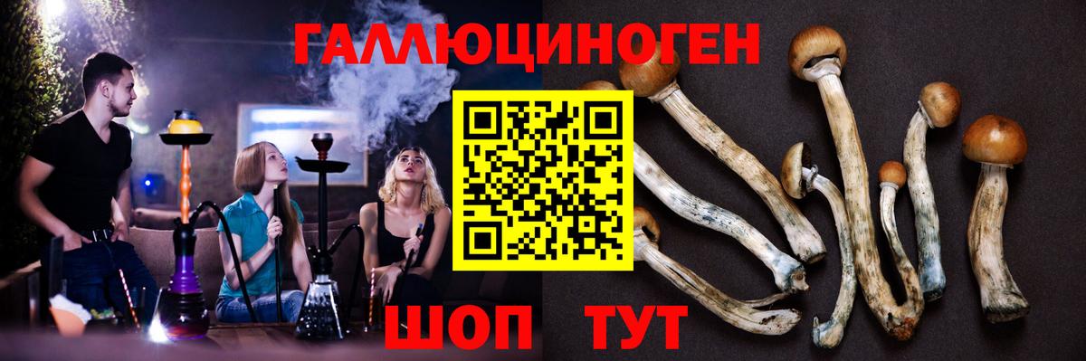 Псилоцибиновые грибы GOLDEN TEACHER  Вход с VPN  Муром  Псилоцибиновые грибы Cubensis 